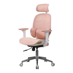Ghế công thái học OEM E3 Lite | Hồng, 150kg, Chân xoay, Lưng lưới - Máy Tính Bàn Đắk Lắk