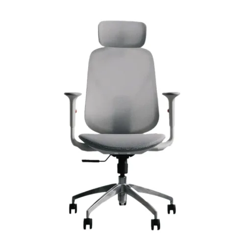 Ghế công thái học Epione ElysChair Cool Gray | Lưng lưới, Kèm tựa đầu, Xám