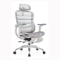 Ghế Công Thái Học Manson Foris, Màu Xám, Có gác chân | Đỡ Lưng Bionic Spine, Ngả Sâu 147 Độ, Tay 5D - Máy Tính Bàn Đắk Lắk