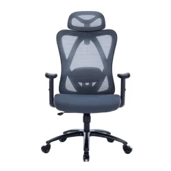 Ghế công thái học WARRIOR Hero WEC501 Plus | Xám, 120kg, Chân xoay, Lưng lưới - Máy Tính Bàn Đắk Lắk