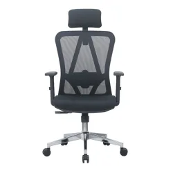 Ghế công thái học E DRA EEC213 | Đen, 120kg, Chân xoay, Lưng lưới - Máy Tính Bàn Đắk Lắk