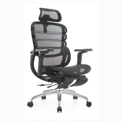 Ghế Công Thái Học Manson Foris, Màu Đen, Có gác chân | Đỡ Lưng Bionic Spine, Ngả Sâu 147 Độ, Tay 5D - Máy Tính Bàn Đắk Lắk