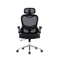Ghế công thái học E DRA EEC224 | Đen, 150kg, Chân xoay, Lưng lưới - Máy Tính Bàn Đắk Lắk