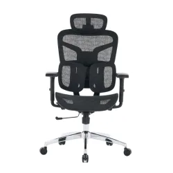 Ghế công thái học E DRA EEC226 | Đen, Chân xoay, Lưng lưới - Máy Tính Bàn Đắk Lắk