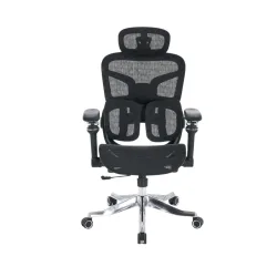 Ghế công thái học E DRA EEC227 | Đen, Chân xoay, Lưng lưới - Máy Tính Bàn Đắk Lắk