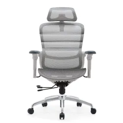 Ghế Công Thái Học Manson Foris, Màu Xám, Không gác chân | Đỡ Lưng Bionic Spine, Ngả Sâu 147 Độ, Tay 5D - Máy Tính Bàn Đắk Lắk