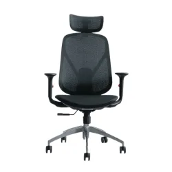 Ghế công thái học Epione ElysChair All Black | Lưng lưới, Kèm tựa đầu, Đen - Máy Tính Bàn Đắk Lắk