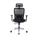 Ghế công thái học GAMI LUM2 | Đen, 150kg, Chân xoay, tay 2D, Lưng lưới - 5