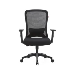 Ghế công thái học E DRA EEC221 | Đen, 120kg, Chân xoay, Lưng lưới - Máy Tính Bàn Đắk Lắk
