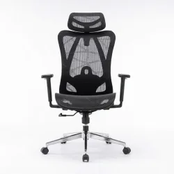 Ghế công thái học E DRA EEC225 | Đen, 150kg, Chân xoay, Lưng lưới - Máy Tính Bàn Đắk Lắk