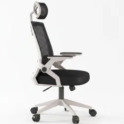 Ghế Văn Phòng Manson Ergonomic | Màu Trắng, Công thái học, Tay Gập - Máy Tính Bàn Đắk Lắk