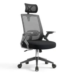 Ghế Văn Phòng Manson Ergonomic | Màu Đen, Công thái học, Tay Gập - Máy Tính Bàn Đắk Lắk