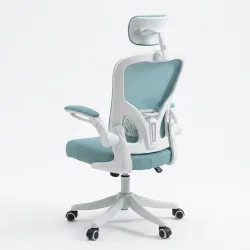 Ghế Văn Phòng Manson Regal | Màu Xanh, Công thái học, Tay Gập - Máy Tính Bàn Đắk Lắk